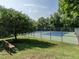 Tennis court, bench and mature trees creating a serene setting at 979 St Marys St # G6, Raleigh, NC 27605