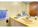 Bathroom featuring a yellow vanity with an oval sink and a large mirror at 1315 Elder Way, Burlington, NC 27215