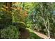 Lush backyard featuring mature trees, dense foliage, and a secluded, nature-filled area at 145 Cofield Cir, Durham, NC 27707