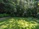Lush backyard featuring a green lawn surrounded by mature trees and manicured landscaping at 1512 St. Mary'S St, Raleigh, NC 27608