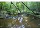Picturesque creek with clear water, rocky edges, and lush green surroundings at 237 Water Front Ln, Timberlake, NC 27583