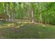 Backyard featuring mature trees, and green grass at 3218 Seven Springs Rd, Hillsborough, NC 27278