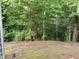 View of the wooded backyard and tree line at 3352 Tarleton W, Durham, NC 27713