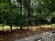 Picturesque wooded backyard with a pond view, creating a serene and private outdoor oasis at 5805 Mapleridge Rd, Raleigh, NC 27609