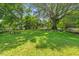 A large backyard is lined with mature trees at 813 N Main St, Burlington, NC 27217