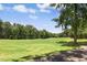 Expansive golf course view with manicured green grass, mature trees, and blue skies in a desirable golf community at 904 Parkridge Dr, Clayton, NC 27527