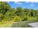 A view of the backyard, featuring lush greenery and trees, offering a private outdoor space at 93 Kinsale Ct, Garner, NC 27529