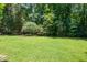 A home's backyard featuring a lush lawn surrounded by mature trees at 10625 Soma Ct, Raleigh, NC 27613