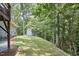 Green backyard and shed view showing beautiful mature trees at 108 Cedar St, Chapel Hill, NC 27514