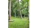 Lush backyard with mature trees providing shade, ideal for outdoor relaxation at 1106 Fargo St, Durham, NC 27707