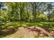 Large back yard with green grass, trees, and a shed at 1120 E Oak Dr, Durham, NC 27712