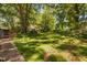 Expansive backyard surrounded by mature trees and lush greenery, creating a serene outdoor space at 1120 E Oak Dr, Durham, NC 27712