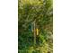 A colorful bird feeder station nestled among lush greenery and flowering trees, nature's invitation at 3619 Nc-57, Hillsborough, NC 27278