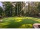 Expansive backyard with lush lawn, mature trees providing privacy, and manicured landscaping at 3624 Regent Pines Dr, New Hill, NC 27562