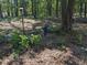 Backyard garden with birdbath and greenery offers a serene, private setting at 4008 Old Nc 86, Hillsborough, NC 27278