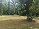 Beautiful expansive lawn nestled within mature trees at 4008 Old Nc 86, Hillsborough, NC 27278