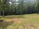 A vast grass field surrounded by a dense forest at 4008 Old Nc 86, Hillsborough, NC 27278