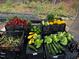 Freshly harvested vegetables displayed in crates, featuring zucchini, squash, lettuce, eggplant, and more at 4008 Old Nc 86, Hillsborough, NC 27278
