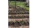 Organized vegetable garden with rows of plants, mulch, and a drip irrigation system at 4008 Old Nc 86, Hillsborough, NC 27278
