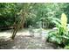Backyard featuring a fenced pool area surrounded by tropical foliage and mature trees at 7216 Rabbit Run, Wake Forest, NC 27587