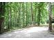 Gravel driveway surrounded by lush trees offers ample parking and a rustic touch at 7216 Rabbit Run, Wake Forest, NC 27587