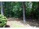 Wooded backyard with mature trees creating a private natural setting at 747 Weathergreen Dr, Raleigh, NC 27615