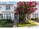 Charming townhome featuring a vibrant pink crape myrtle tree in the front yard at 7648 Winners Edge St, Raleigh, NC 27617
