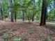 Wooded backyard with mature trees and natural ground cover, offering a serene and private setting at 81106 Alexander, Chapel Hill, NC 27517