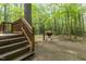 Backyard with a deck, grill, and staircase surrounded by a serene, wooded area at 1012 King Cir, Chapel Hill, NC 27516