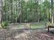 Tranquil backyard with gated garden surrounded by lush forest at 1012 King Cir, Chapel Hill, NC 27516