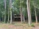 Wood-sided home hidden amongst trees, with a gravel pathway leading up to it at 1012 King Cir, Chapel Hill, NC 27516