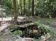Backyard pond and sitting area amid lush greenery, creating a peaceful outdoor retreat at 1012 King Cir, Chapel Hill, NC 27516