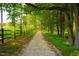 Picturesque path surrounded by trees, offering a serene and inviting outdoor experience with a wooden fence at 119 Florentino Ct, Clayton, NC 27527