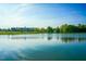 An expansive view of the property's pond and surrounding pasture land, perfect for relaxing at 119 Florentino Ct, Clayton, NC 27527