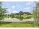 Scenic pond view featuring a tranquil body of water reflecting the sky and surrounding greenery, creating a peaceful ambiance at 119 Florentino Ct, Clayton, NC 27527