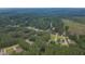 This aerial view shows the neighborhood's homes surrounded by a dense forest creating a serene living environment at 1210 Bayview Ct, Franklinton, NC 27525