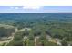 An aerial view showcases the neighborhood's homes surrounded by lush trees, near roads and natural beauty at 1210 Bayview Ct, Franklinton, NC 27525