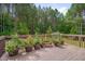 Back deck with flowerpots and a view of the wooded back yard at 1210 Bayview Ct, Franklinton, NC 27525
