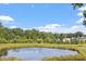 Scenic view of a pond surrounded by lush greenery, offering a tranquil and natural setting at 1217 Clandon Square Rd, Hillsborough, NC 27278