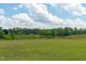 Scenic backyard with lush green grass, mature trees, and a peaceful pond, creating a serene outdoor space at 124 Lahinch Dr, Fuquay Varina, NC 27526