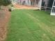 Image of a new home's backyard featuring fresh sod and partial landscaping at 1524 Chirping Bird Ct, Cary, NC 27519