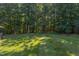 Lush backyard with a well-manicured lawn and a backdrop of mature trees, offering privacy at 2012 Silverleaf Dr, Youngsville, NC 27596