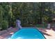 Backyard pool with slide surrounded by mature landscaping and lush green trees at 2012 Silverleaf Dr, Youngsville, NC 27596