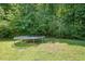 Trampoline on green grass, surrounded by lush trees and greenery at 25 Silver Pl # Apt B, Angier, NC 27501