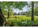 Scenic view of a tranquil pond framed by lush greenery, creating a peaceful and inviting atmosphere at 2856 Gwyn Rd, Elon, NC 27244