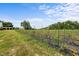 View of the tomato plants that are in a field at 2856 Gwyn Rd, Elon, NC 27244