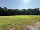 Large lot with lush green grass and mature trees in the background, offering privacy and space at 290 Busterfield Ct, Benson, NC 27504