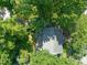 Aerial view of a home nestled among lush green trees at 304 Polk St, Raleigh, NC 27604