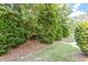 Backyard featuring mature landscaping, green grass, and natural surroundings at 3147 Rapid Falls Rd, Cary, NC 27519
