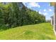 Expansive backyard with lush lawn and border of mature trees, offering ample space for recreation at 3224 Star Gazing Ln, Durham, NC 27703